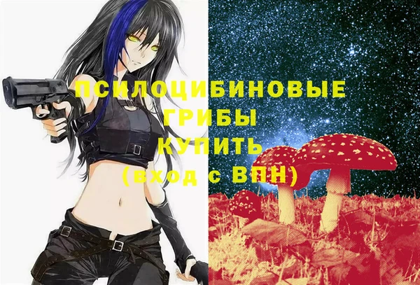 кокаин Белокуриха